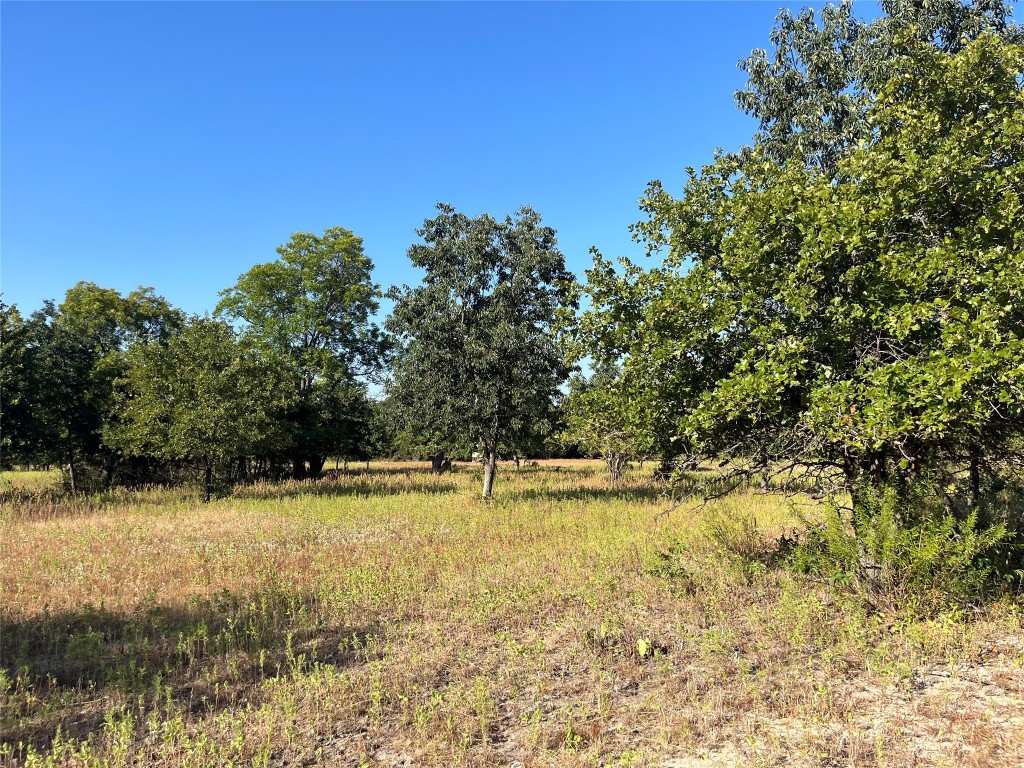 207 County Road 125 Comanche TX 76442