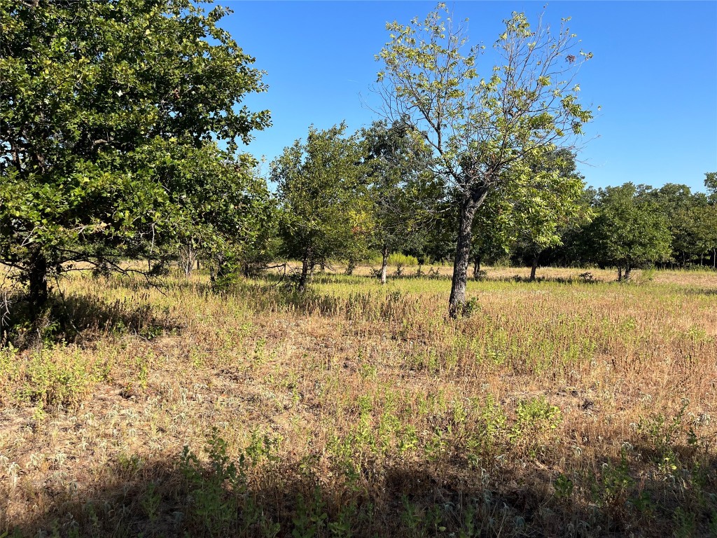 207 County Road 125 Comanche TX 76442