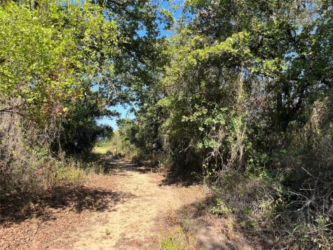 207 County Road 125 Comanche TX 76442