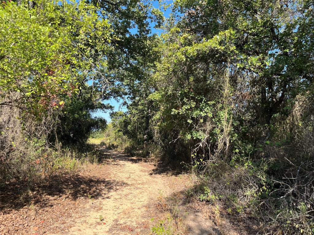 207 County Road 125 Comanche TX 76442