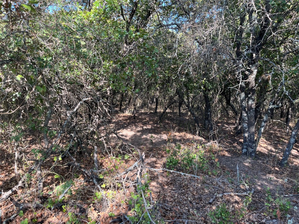 207 County Road 125 Comanche TX 76442