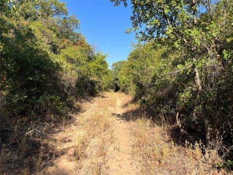 207 County Road 125 Comanche TX 76442