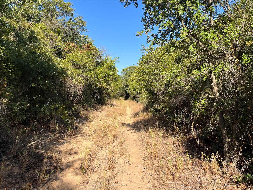 207 County Road 125 Comanche TX 76442