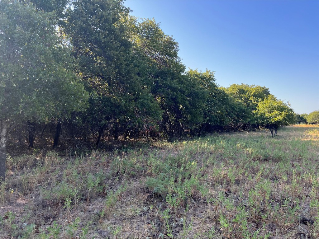 207 County Road 125 Comanche TX 76442