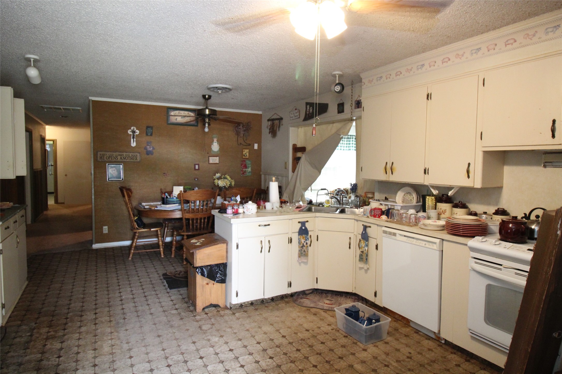 1001 SE 4th Street Knox City TX 79529