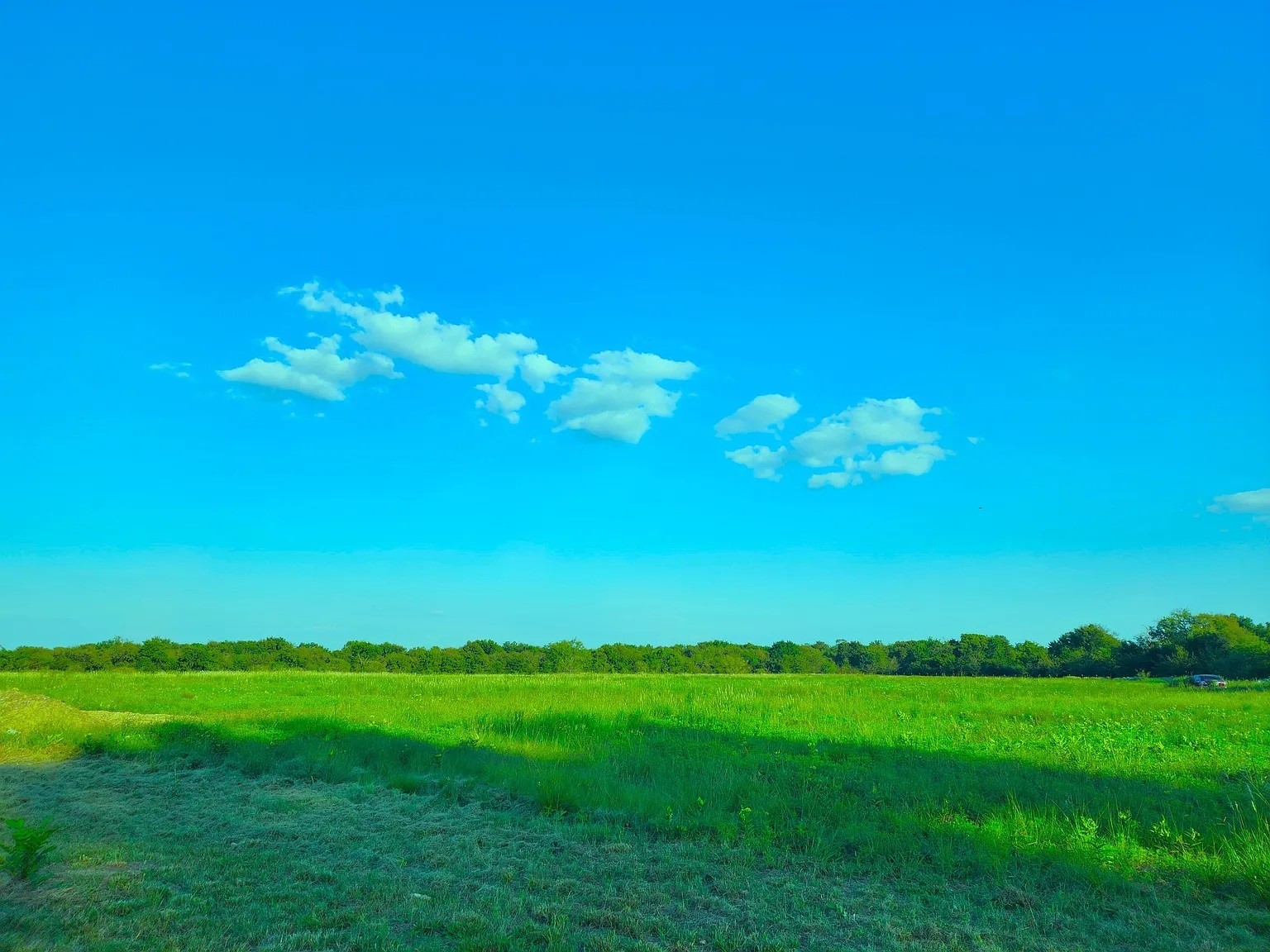 5795 Fm 513 S Lone Oak TX 75453