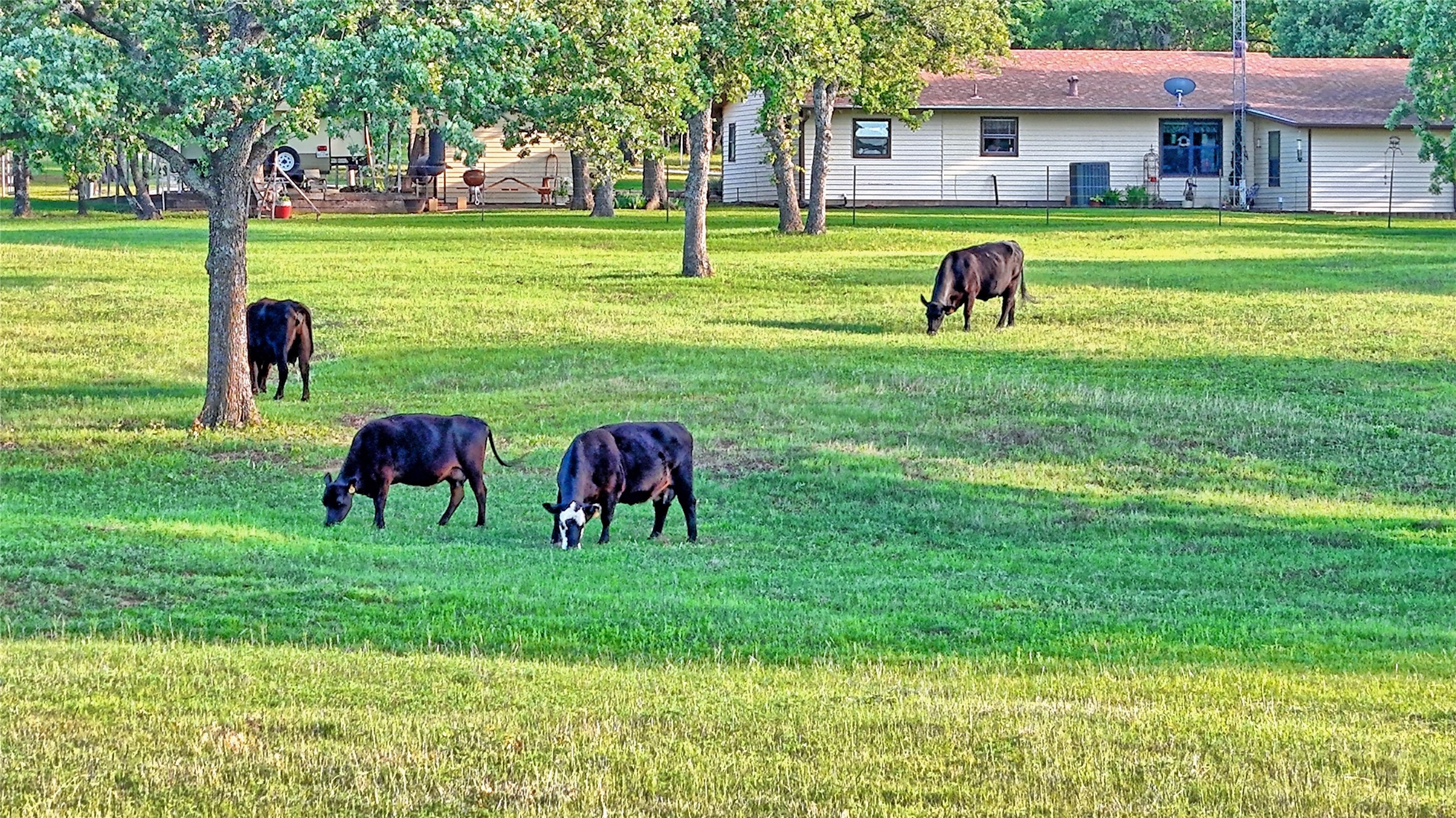 858 Ford Road Bowie TX 76230
