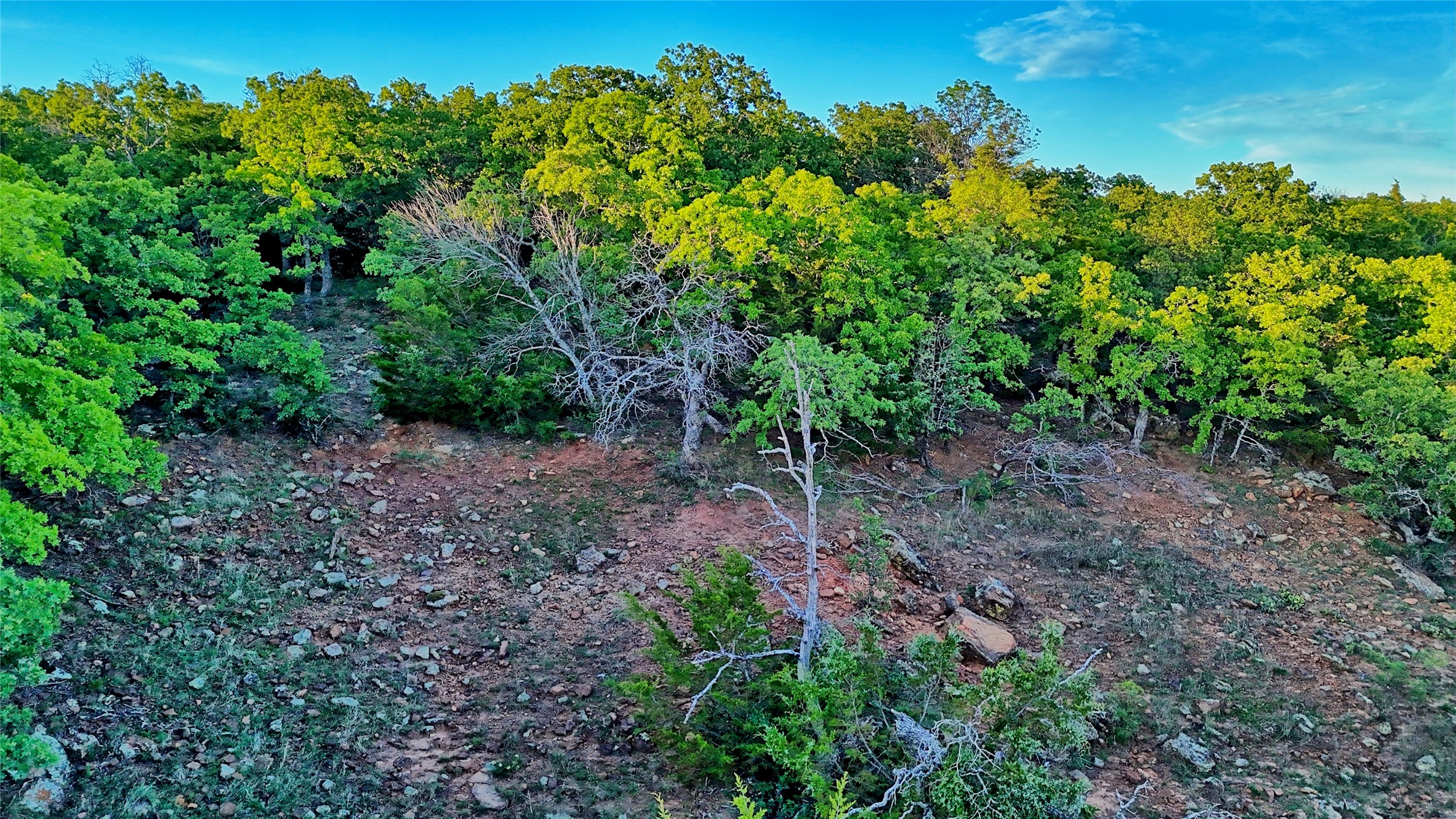 858 Ford Road Bowie TX 76230