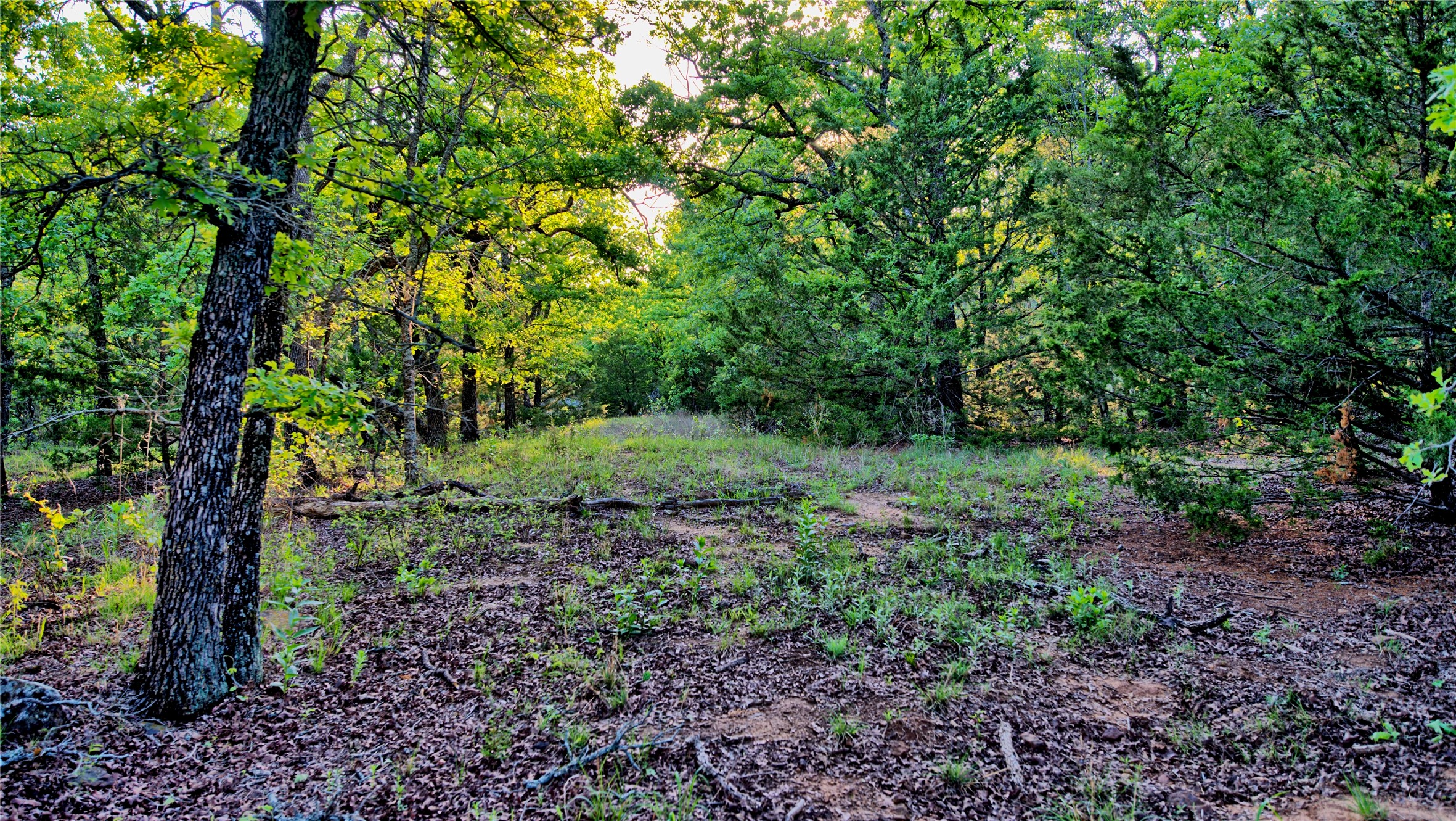 858 Ford Road Bowie TX 76230