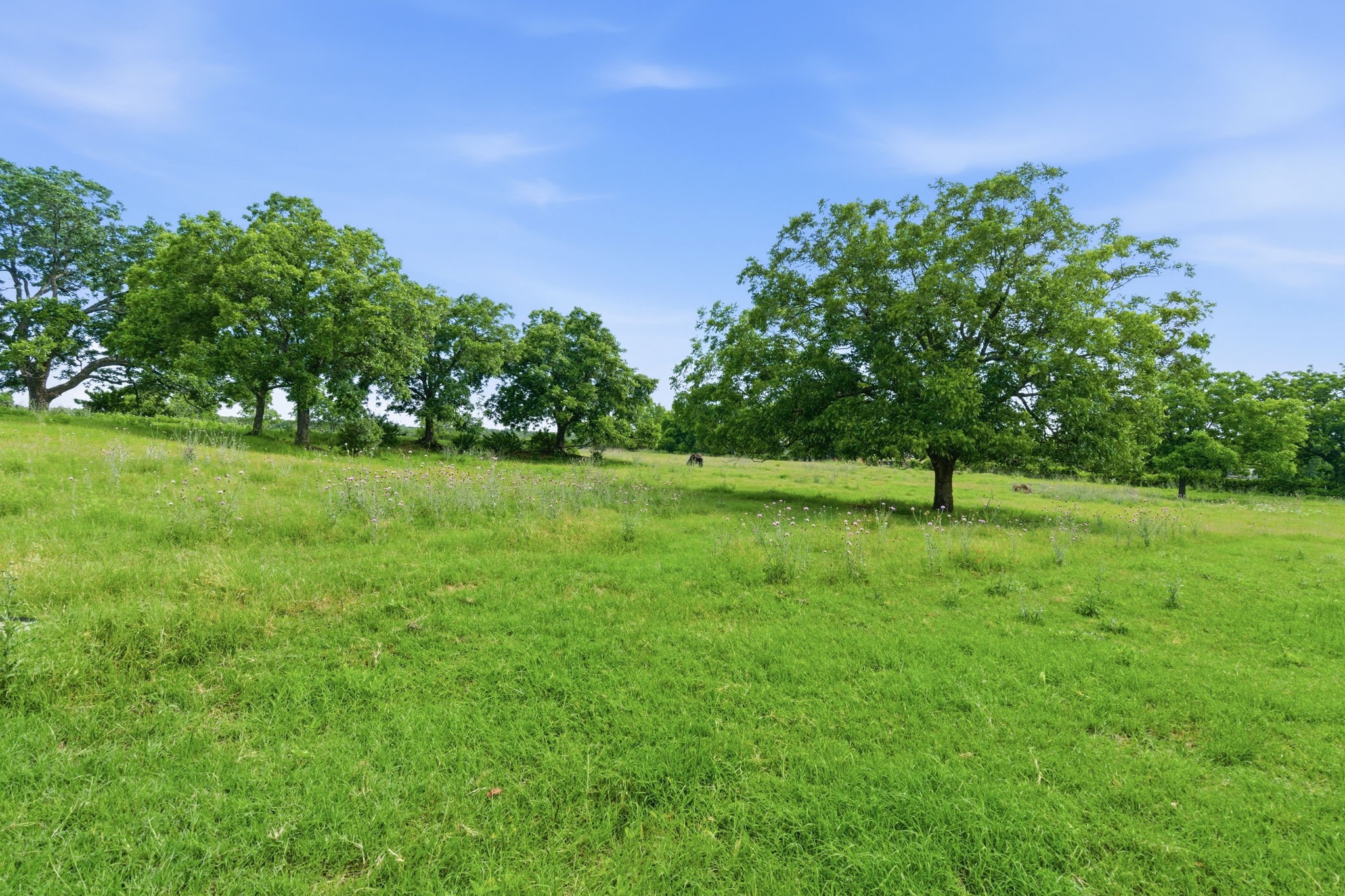298 County Road 3940 Poolville TX 76487