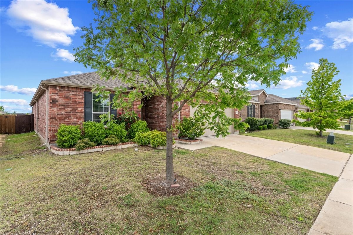 3116 Layla Creek Drive Little Elm TX 75068