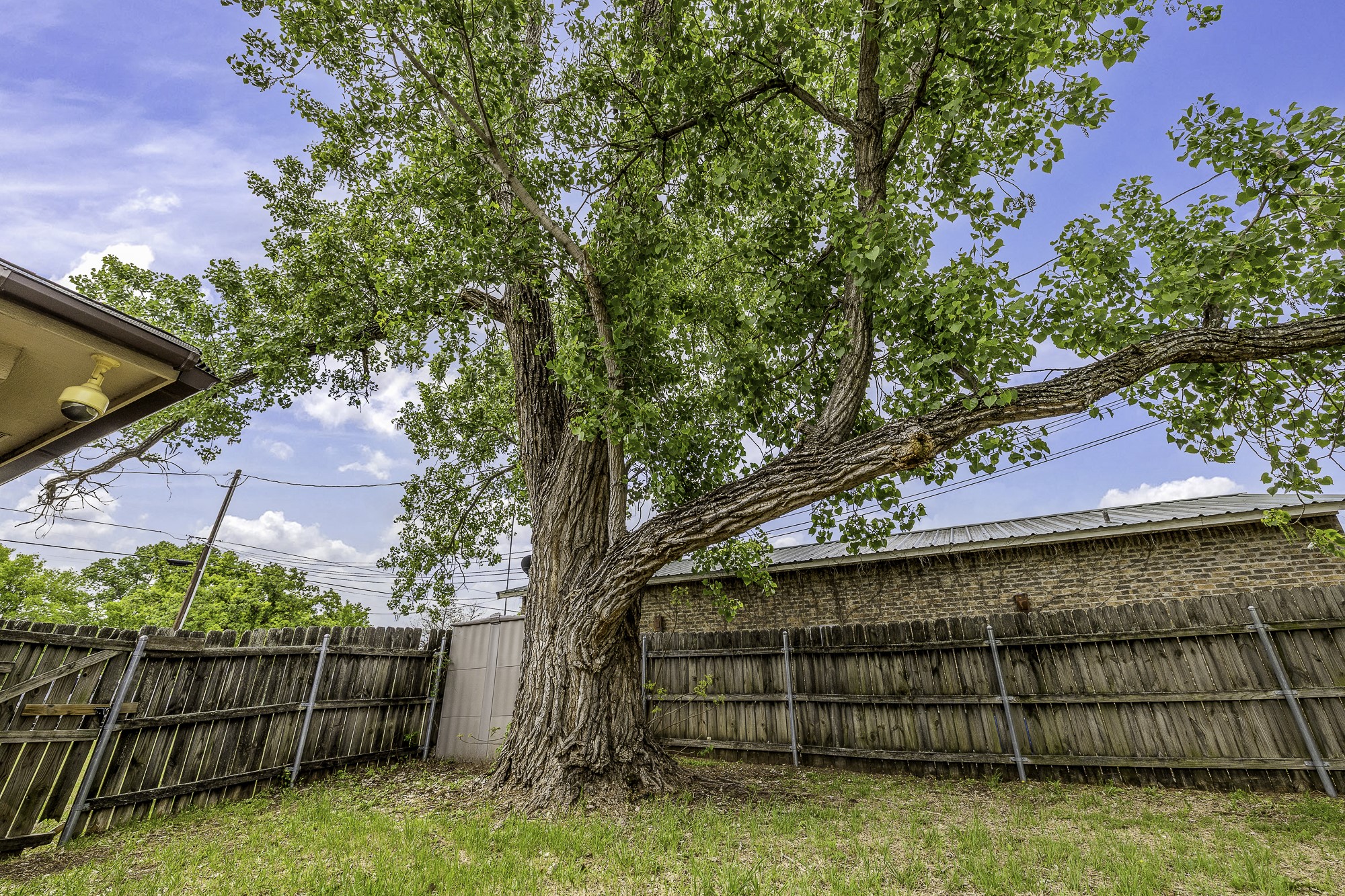 1251 W Hyman Street Stephenville TX 76401
