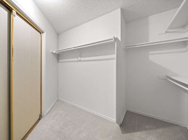 3435 Winter Oak Drive Garland TX 75044