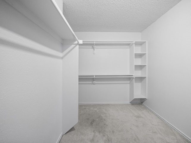 3435 Winter Oak Drive Garland TX 75044