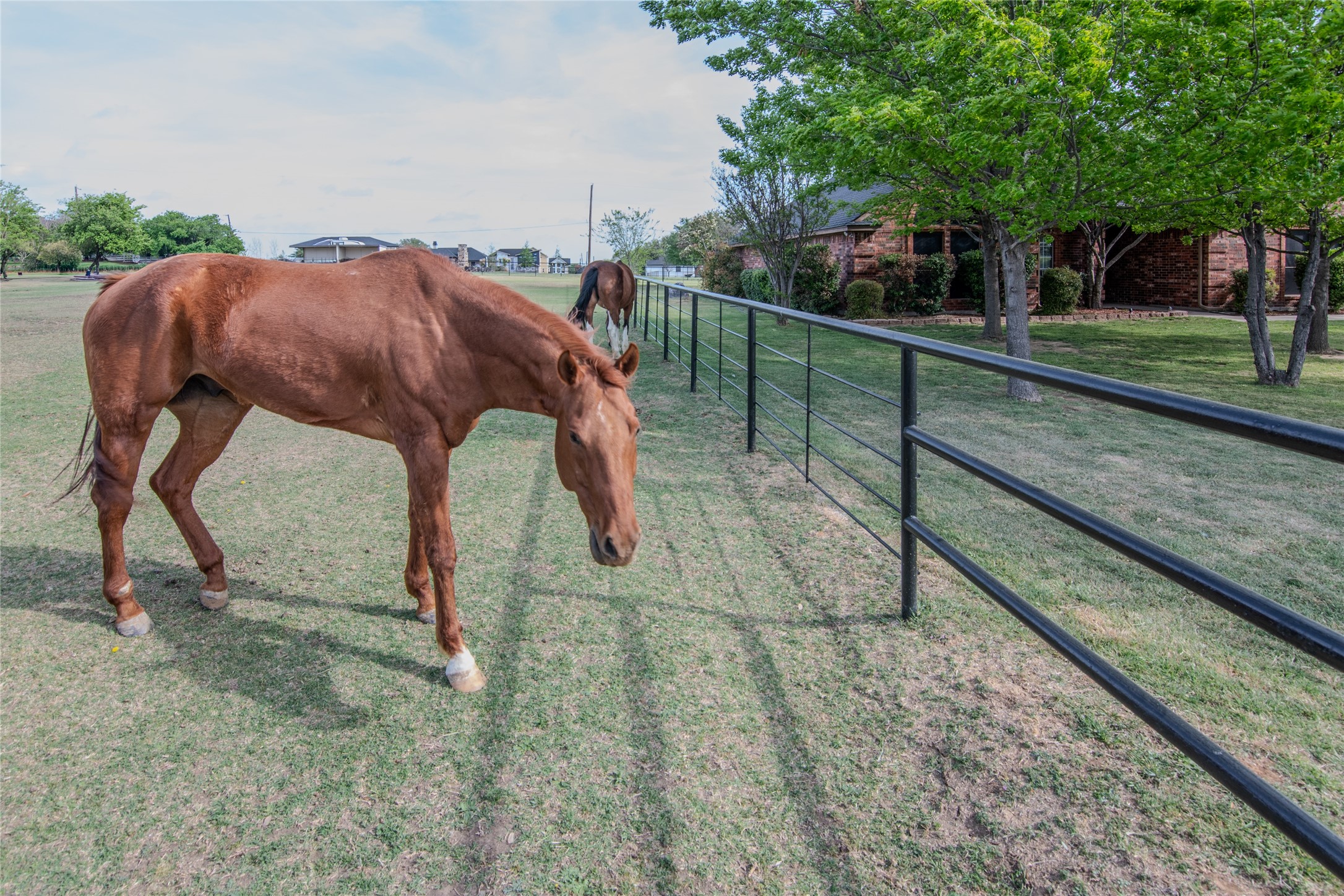 113 Brentwood Lane Haslet TX 76052