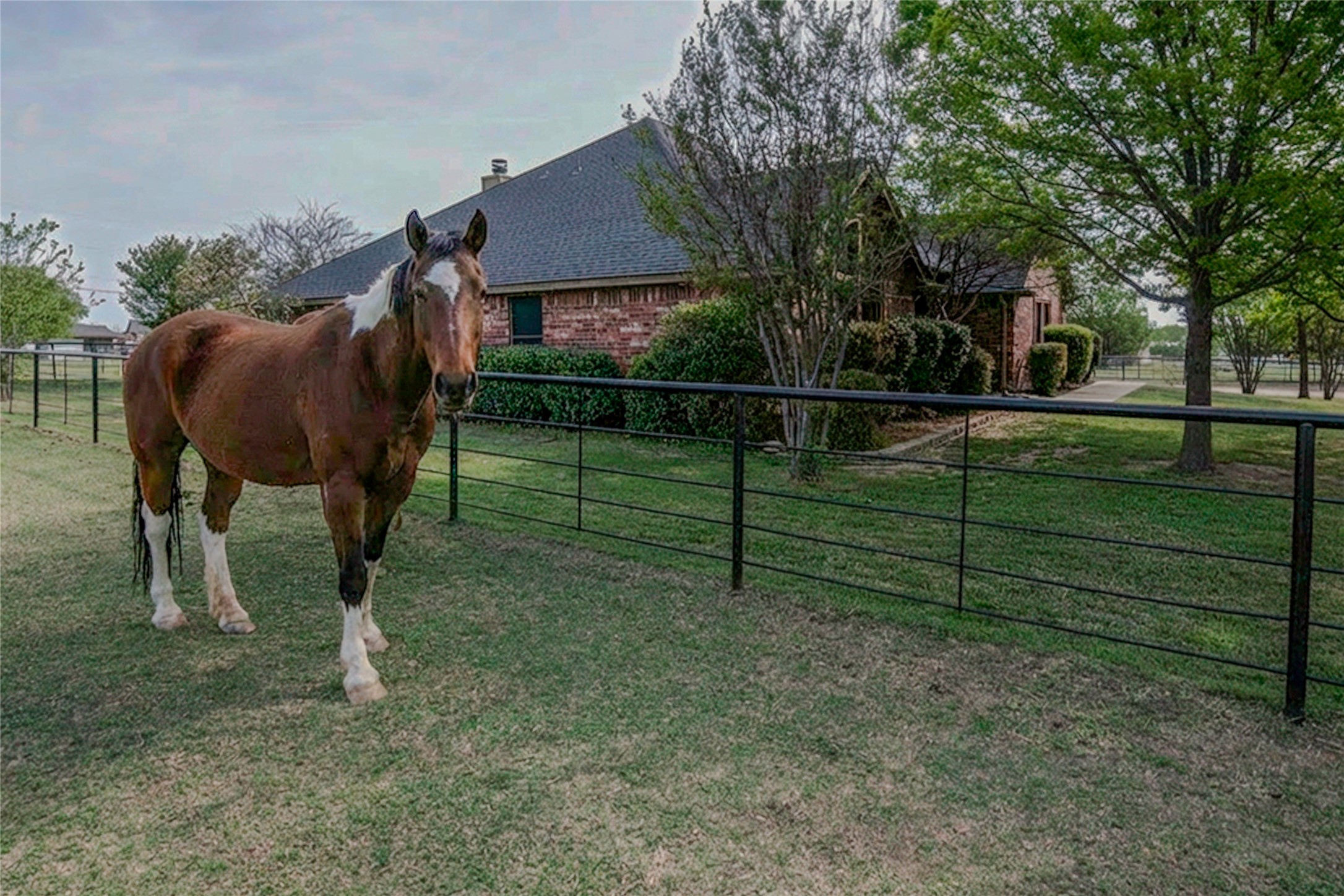 113 Brentwood Lane Haslet TX 76052