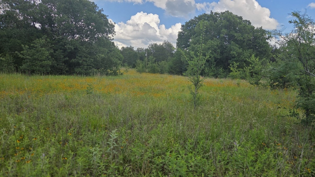 108 County Road 1102 Streetman TX 75859