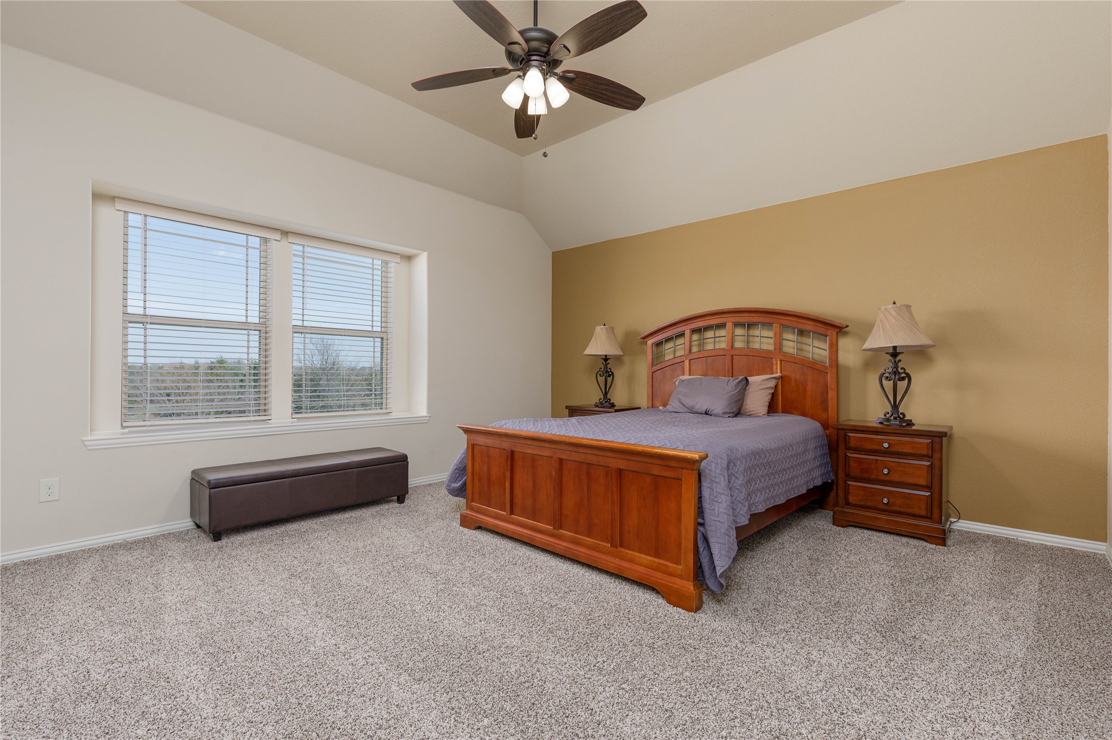313 Sweetleaf Drive Fate TX 75087