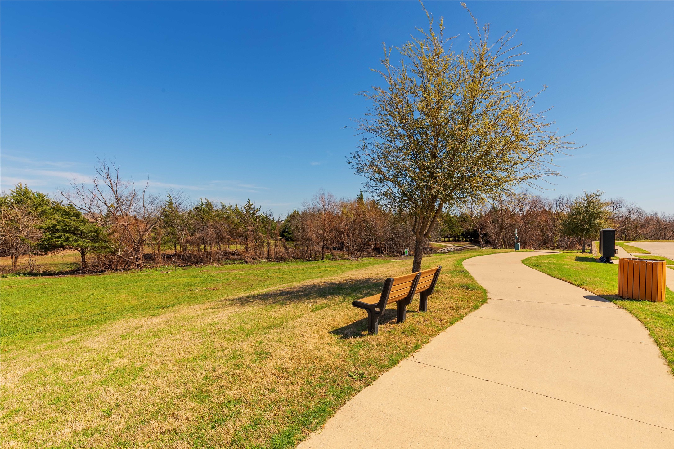313 Sweetleaf Drive Fate TX 75087
