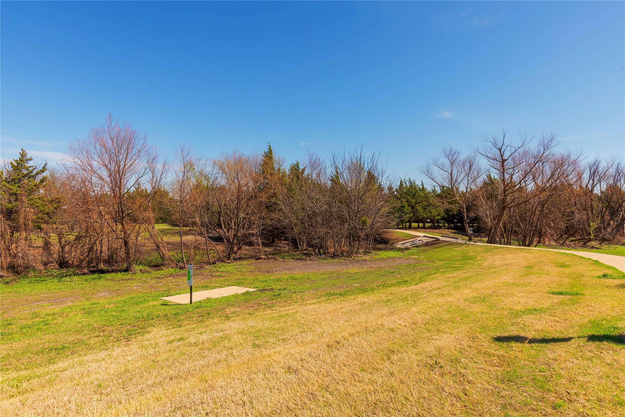313 Sweetleaf Drive Fate TX 75087