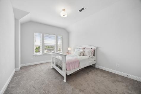 15804 Shasta Daisy Road Frisco TX 75035