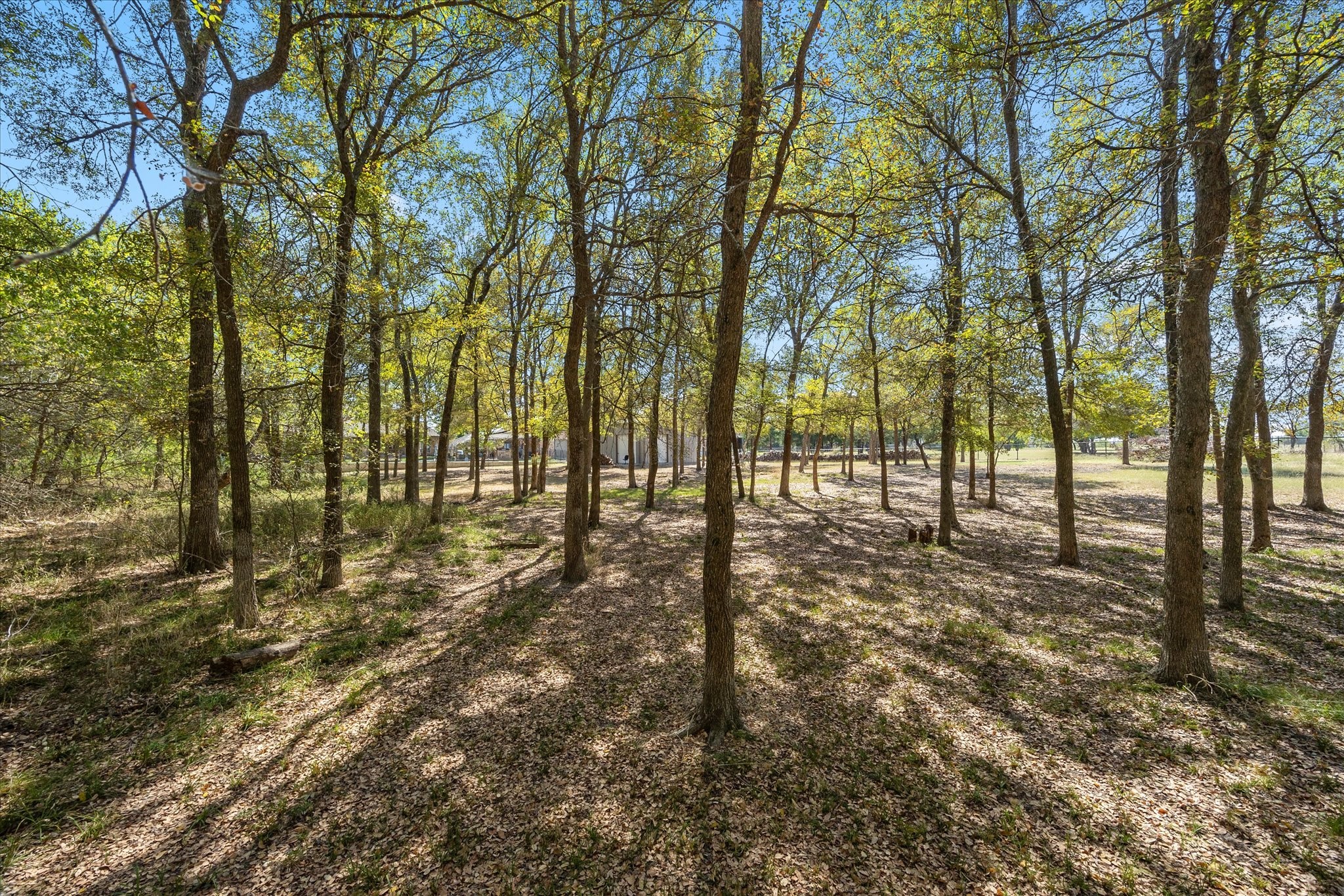 358 Cattlemans Trail Royse City TX 75189