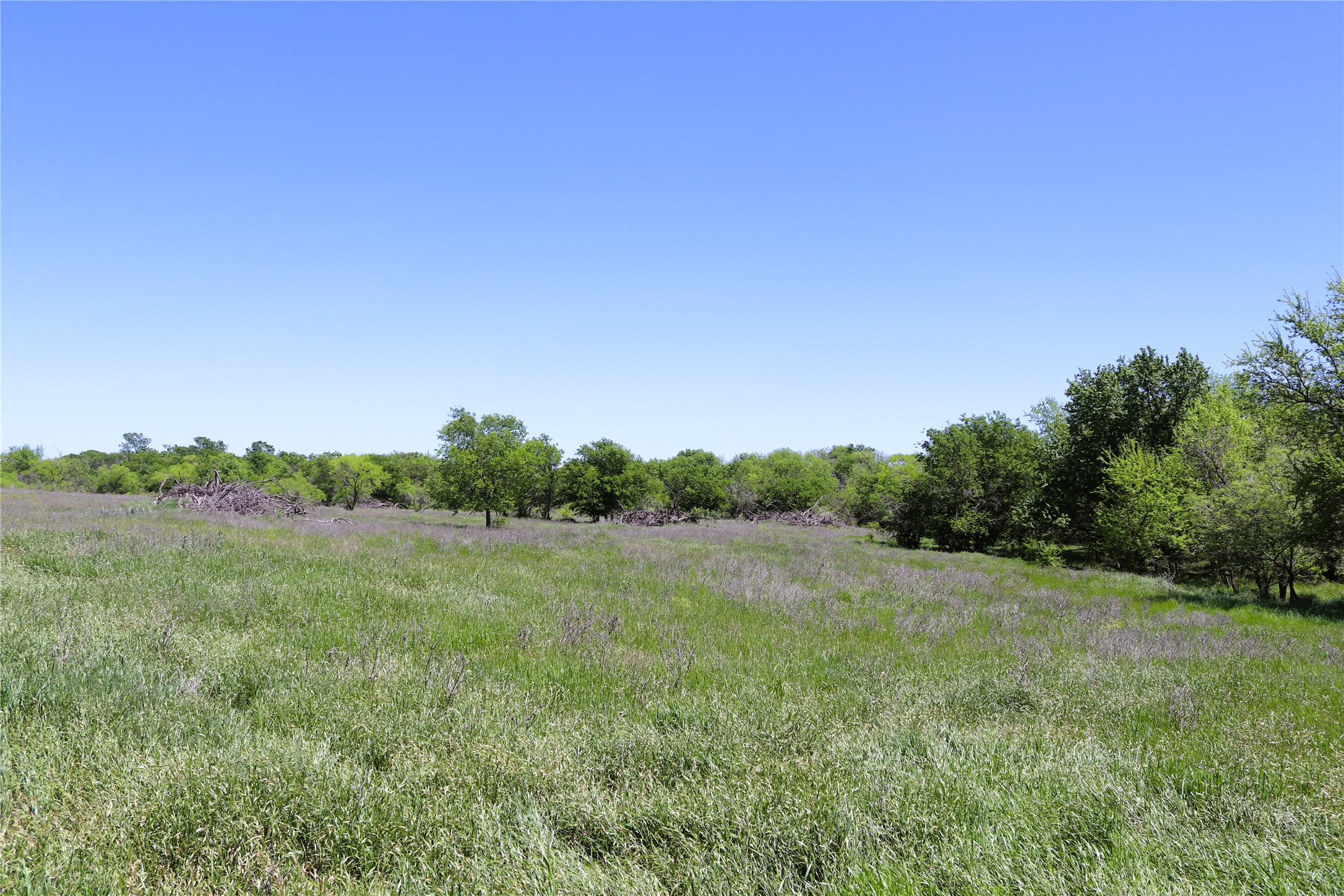 10543 Old Joy Shannon Road Henrietta TX 76365