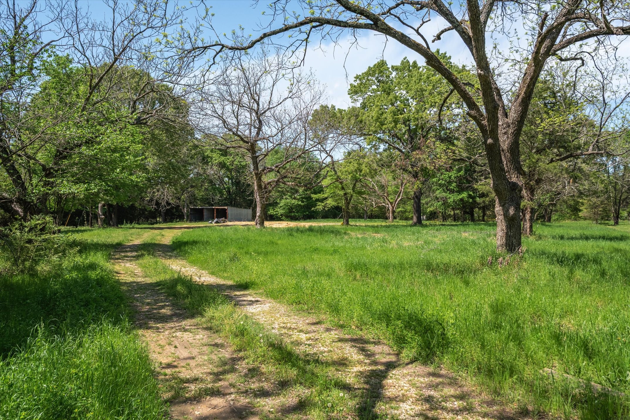 2710 Us Highway 80 Grand Saline TX 75140