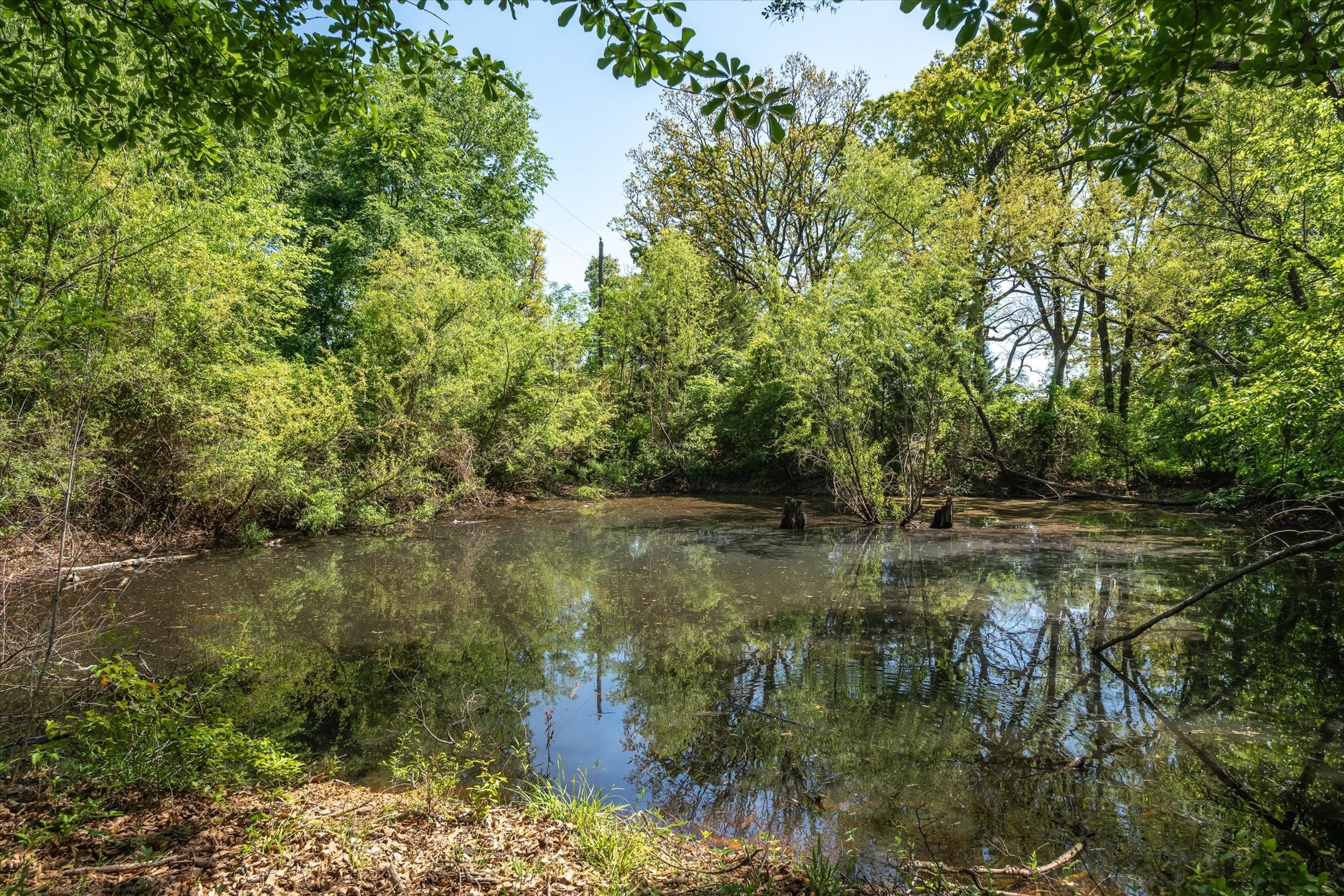 2710 Us Highway 80 Grand Saline TX 75140