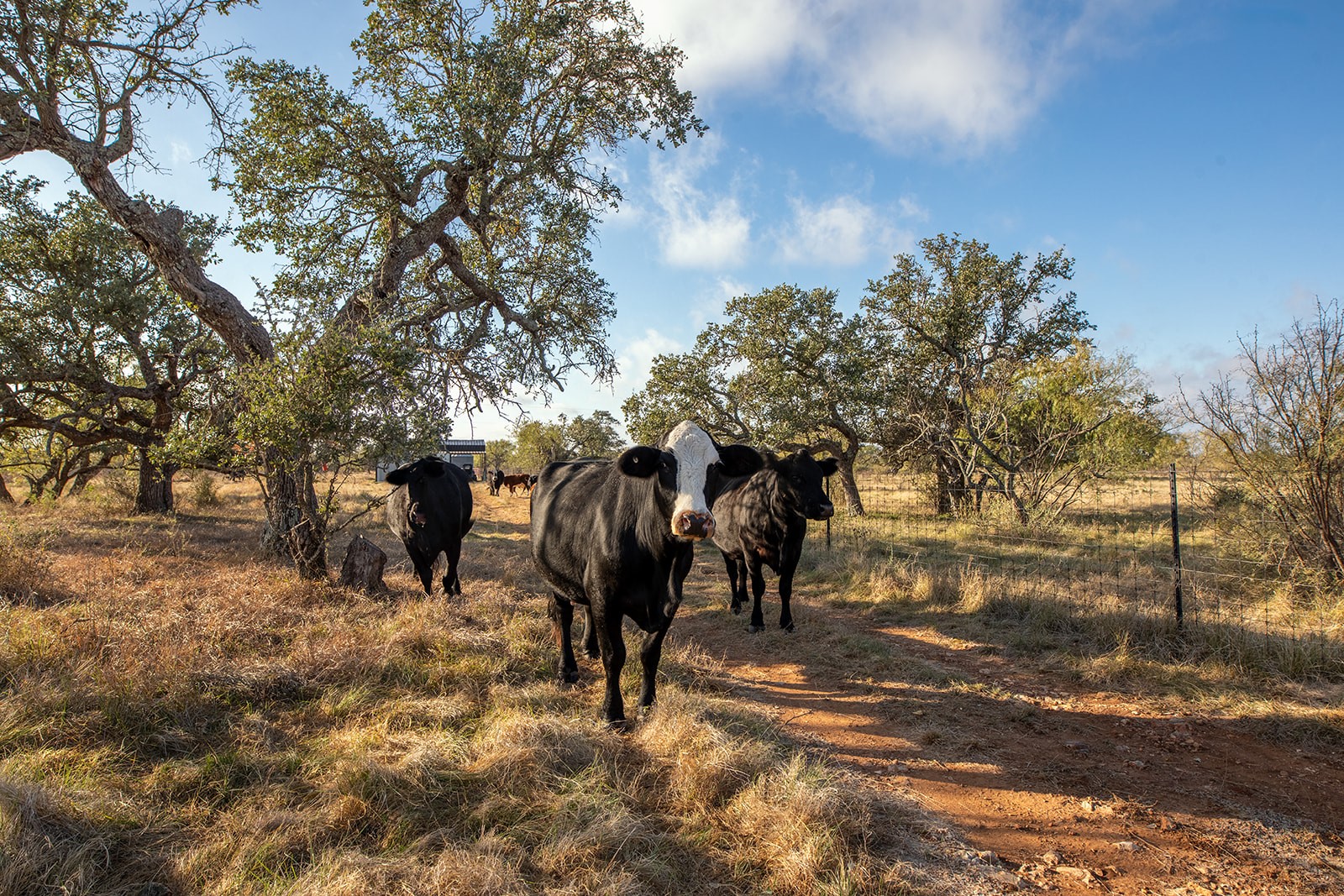5550 S Us Highway 87 Brady TX 76825