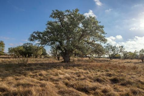 5550 S Us Highway 87 Brady TX 76825