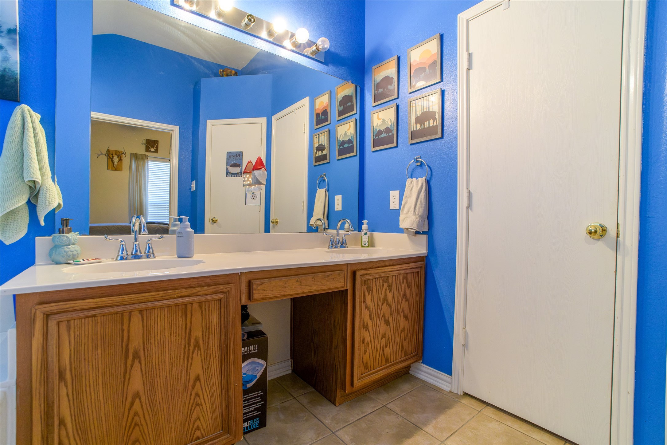 2127 Coelum Court Dallas TX 75253