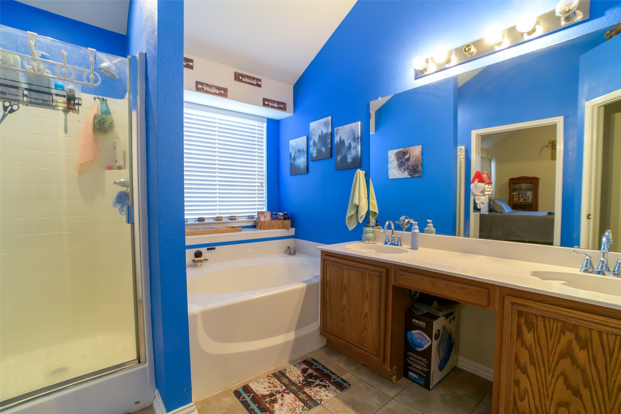 2127 Coelum Court Dallas TX 75253