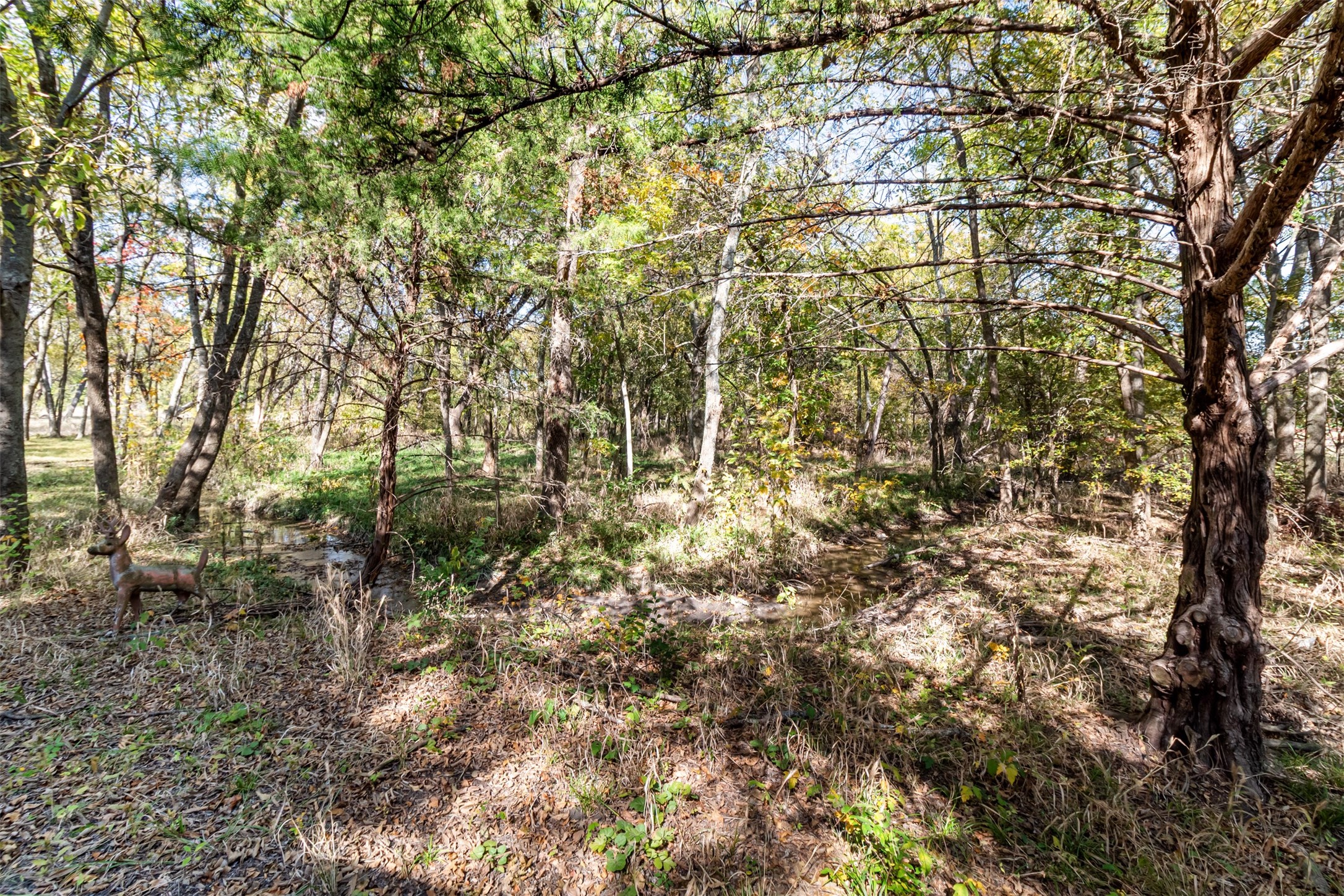 431 Genoa Princeton TX 75407