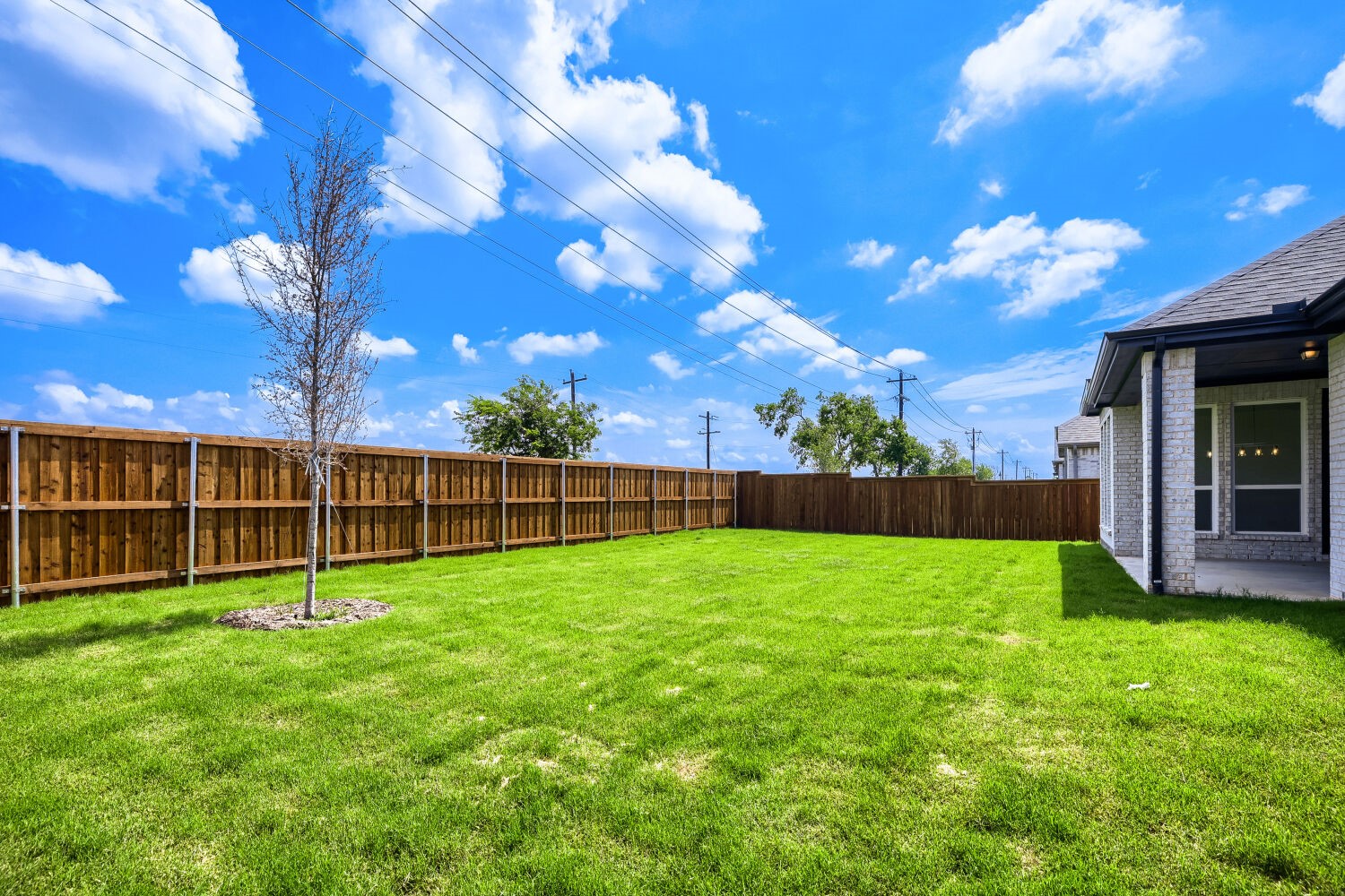317 Barn Swallow Drive Celina TX 75009