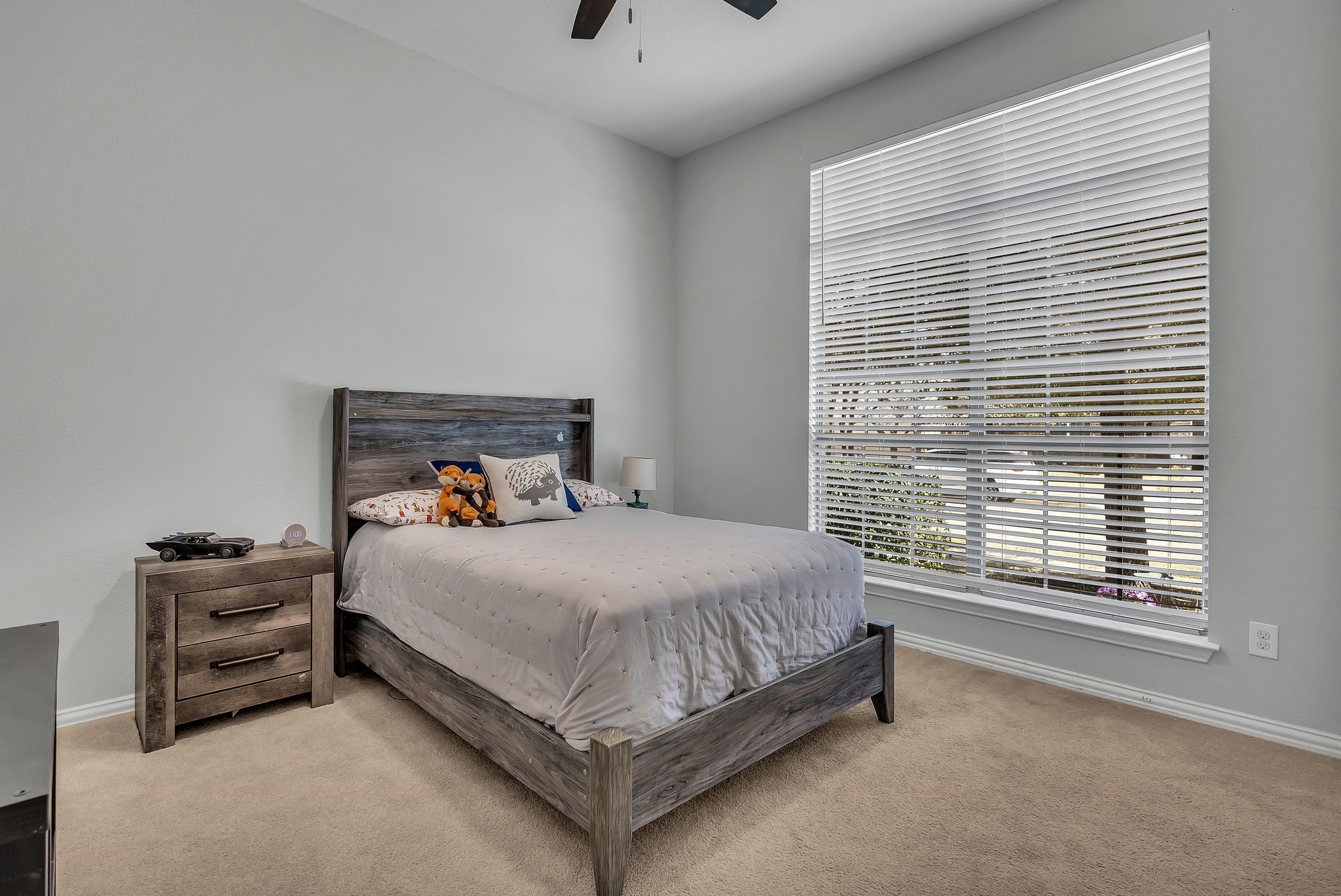 15133 Wild Duck Way Fort Worth TX 76262