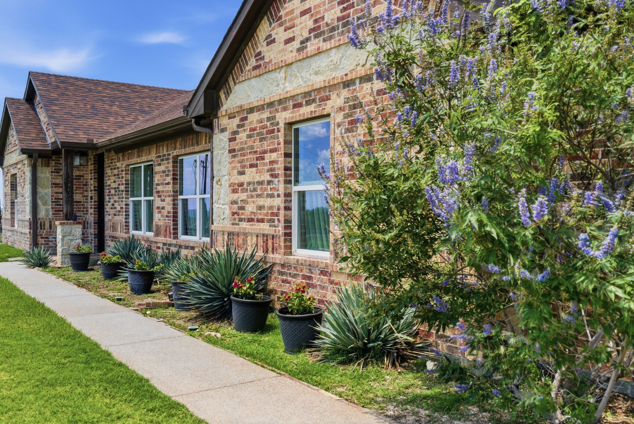 3020 Jolene Court Springtown TX 76082