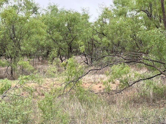 155 County Road 409 Roby TX 79543