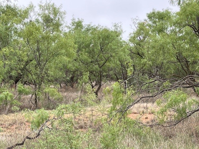 155 County Road 409 Roby TX 79543