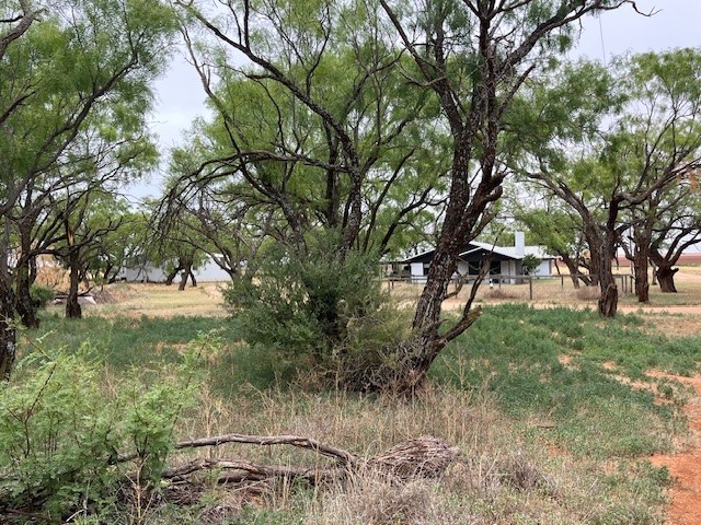 155 County Road 409 Roby TX 79543