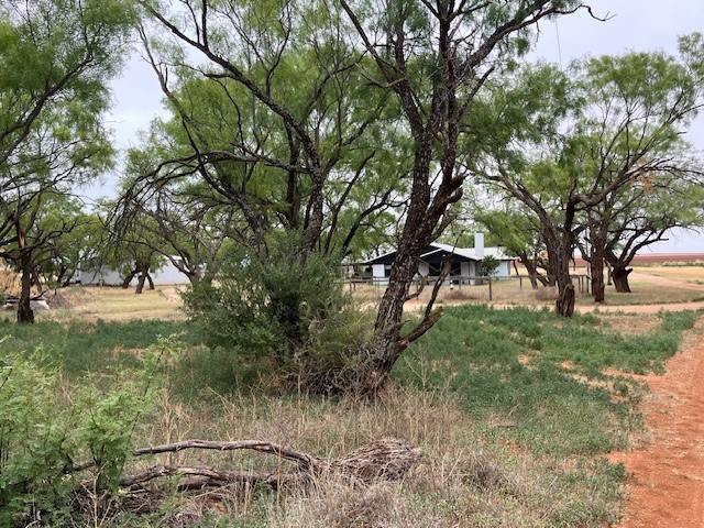 155 County Road 409 Roby TX 79543