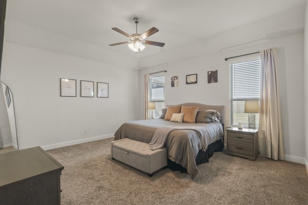 3516 Tunnel Avenue Aubrey TX 76227