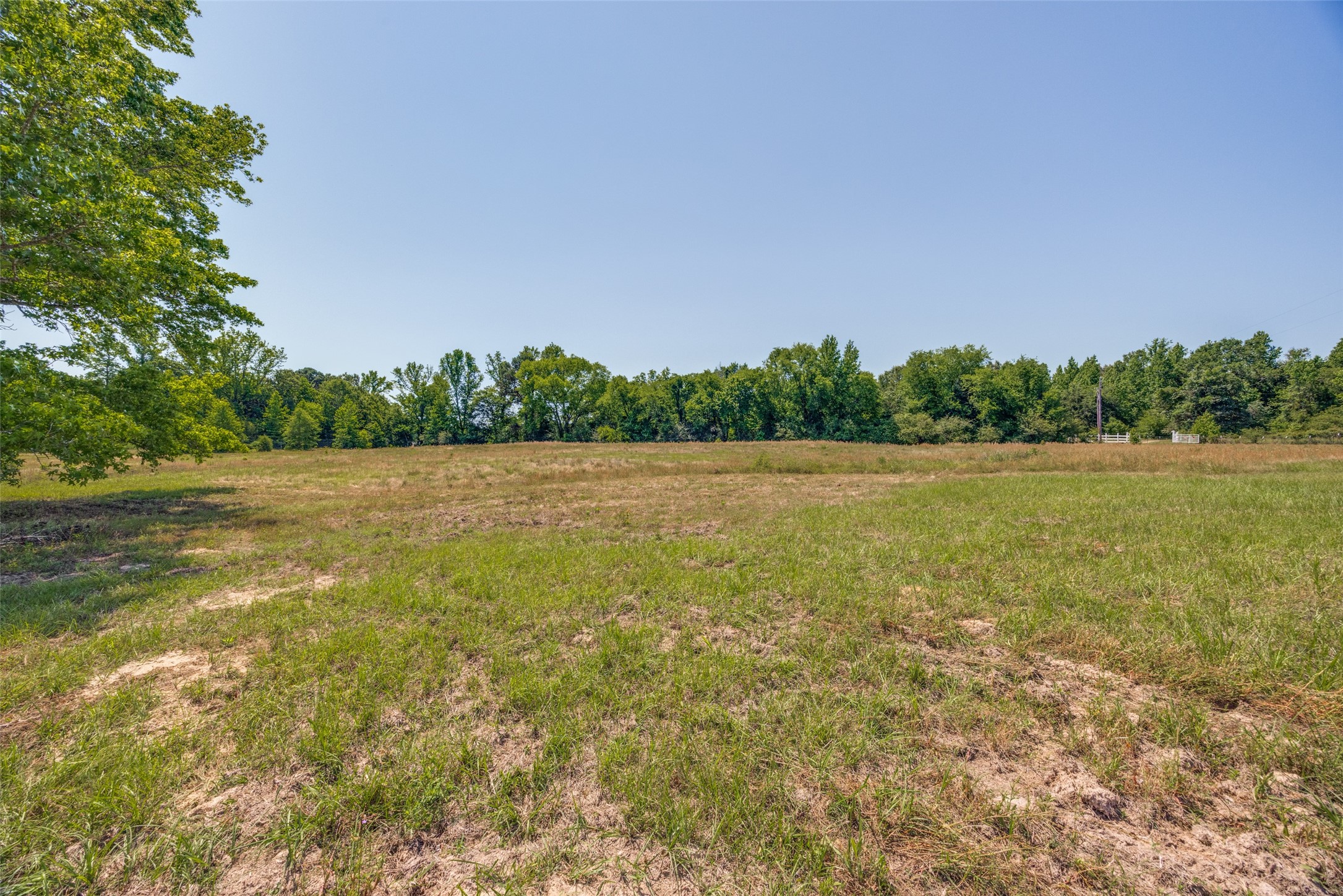 115 County Road 3302 Omaha TX 75571