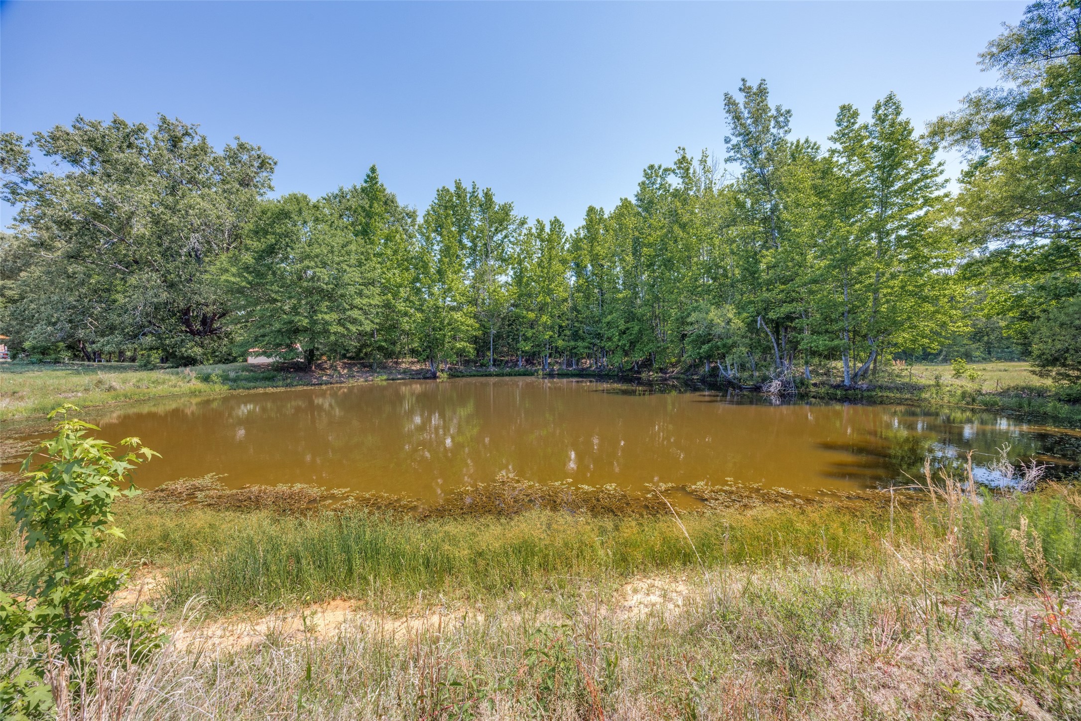 115 County Road 3302 Omaha TX 75571