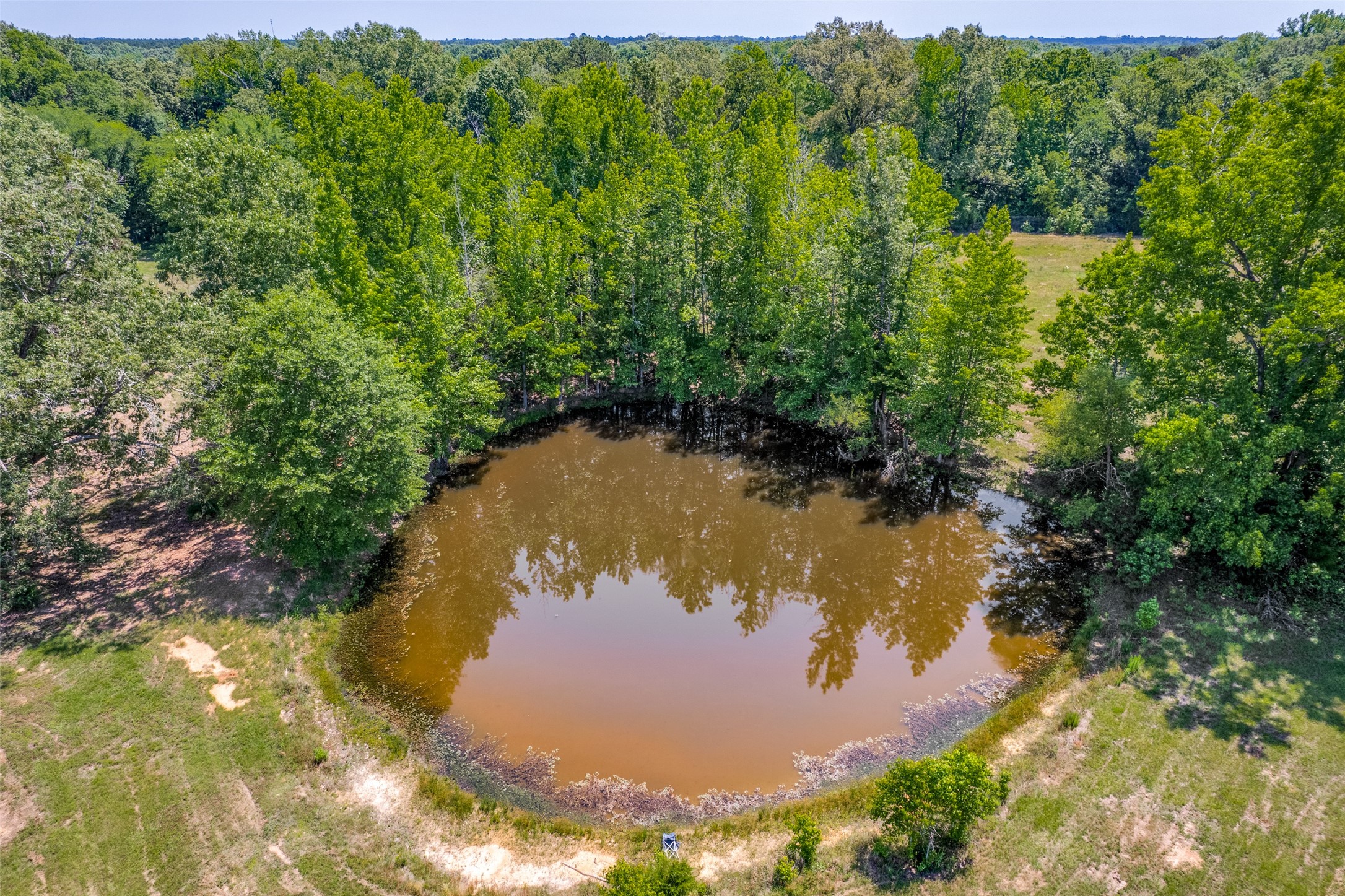 115 County Road 3302 Omaha TX 75571