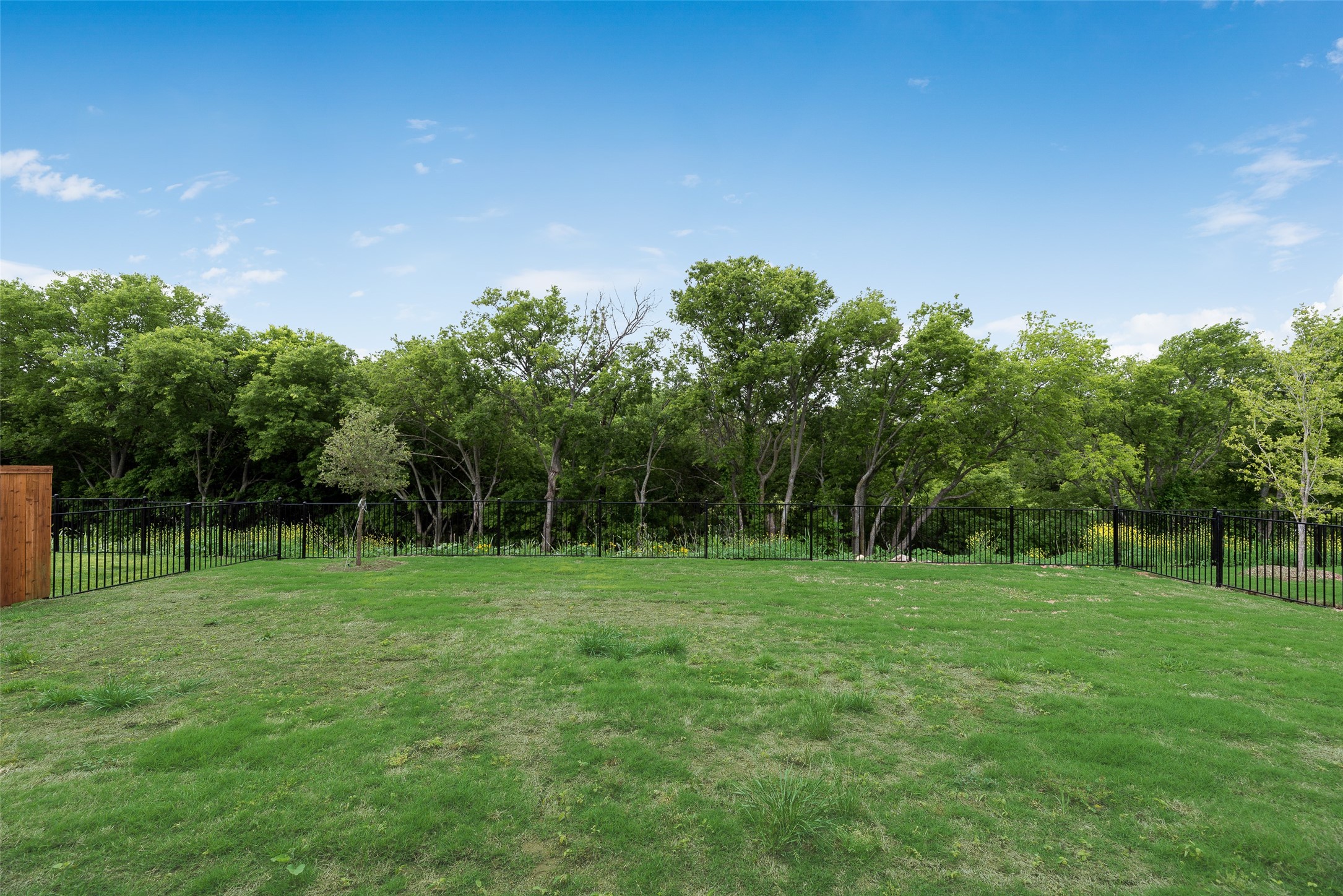 14020 Alfafar Court Little Elm TX 75068