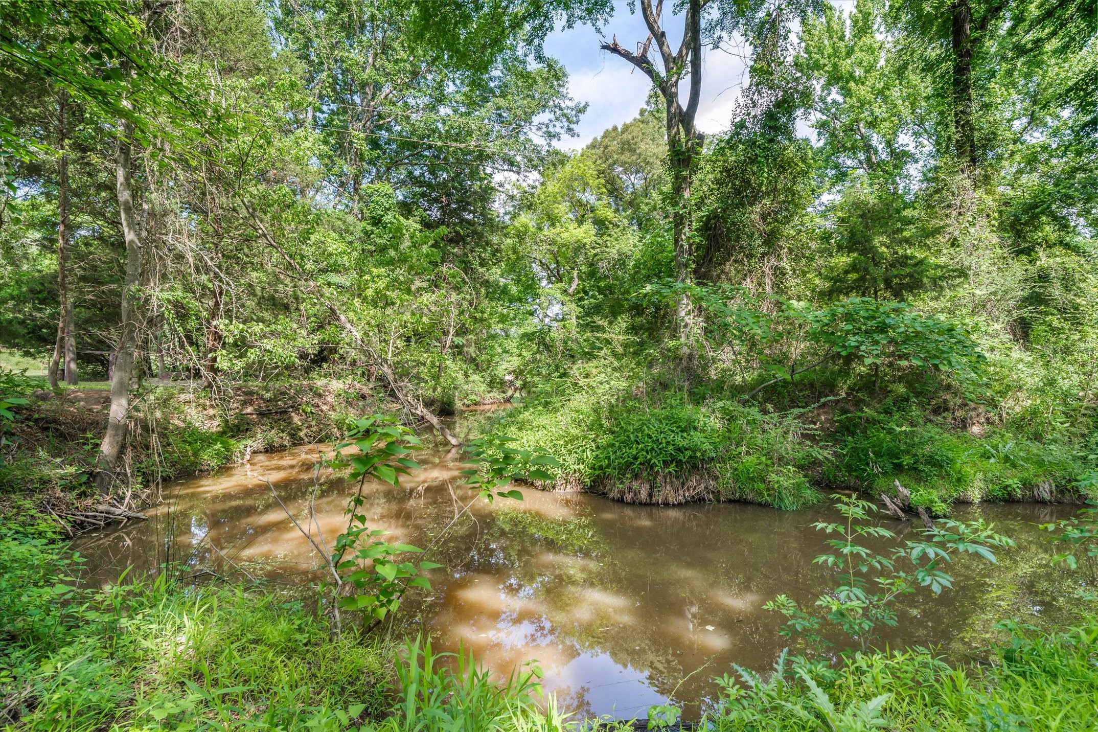165 Vz County Road 1126 Fruitvale TX 75127