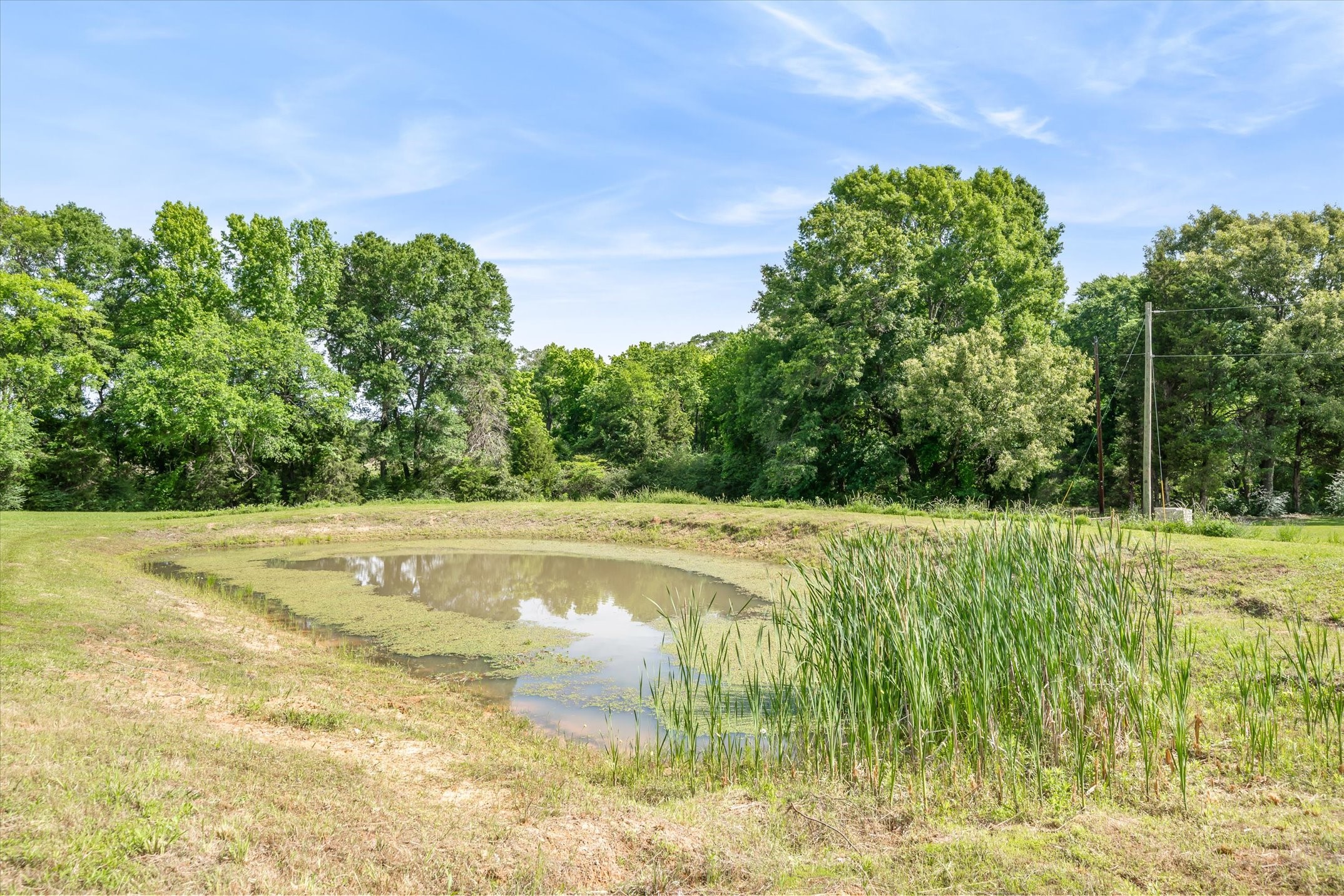 165 Vz County Road 1126 Fruitvale TX 75127