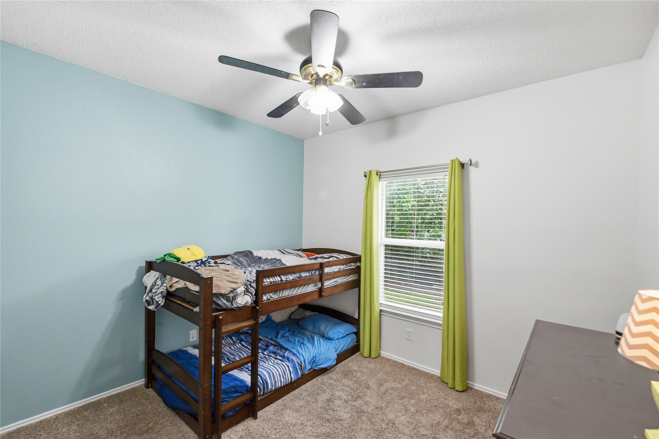 6732 Basswood Drive Fort Worth TX 76135