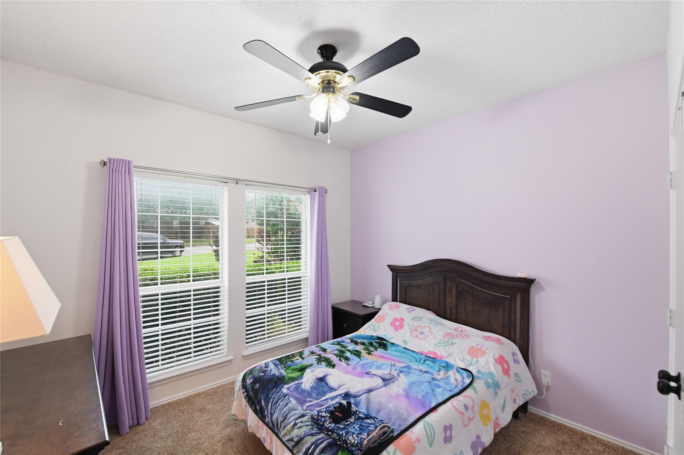 6732 Basswood Drive Fort Worth TX 76135